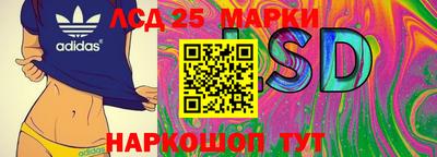 гидра Новодвинск