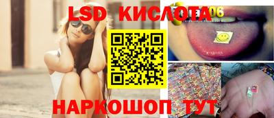 гидра Новодвинск