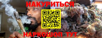 гашик Новокубанск