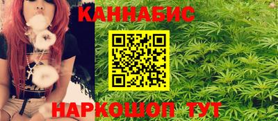 гидра Новодвинск