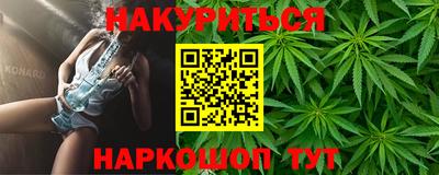 гидра Новодвинск