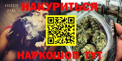 гидра Новодвинск