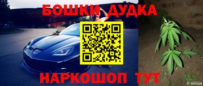гидра Новодвинск