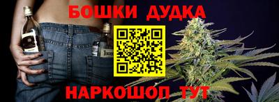 гашик Новокубанск