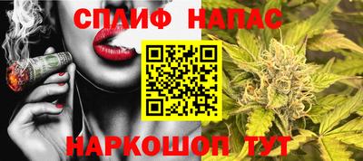 гидра Новодвинск
