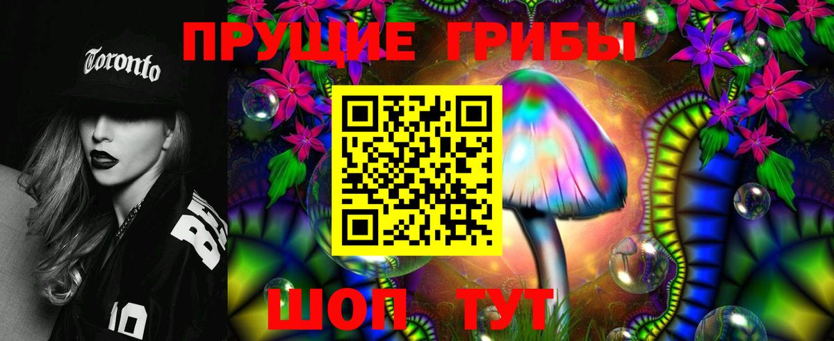 Псилоцибиновые грибы Psilocybe Сосновоборск
